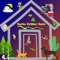 pet products in a store and animal supplies