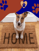 pets at home