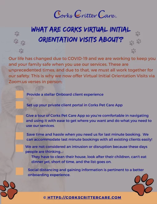  Virtual_Initial_Orientation_Visit_via_Zoom