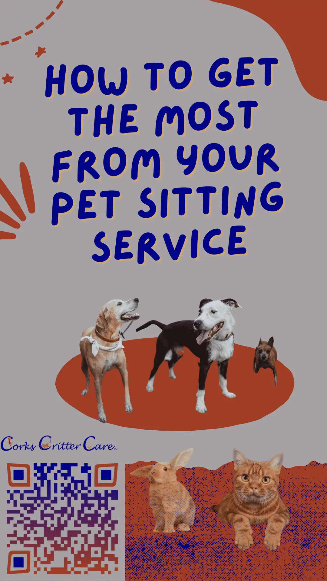 how to get the most out of your pet sitting service